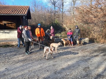 Randonnée canine avec les chiens du refuge