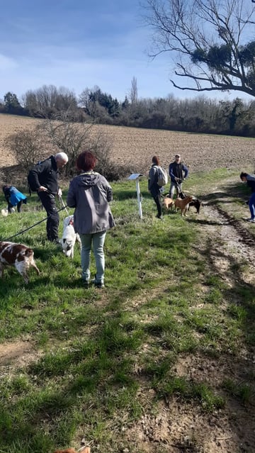 Randonnée canine avec les chiens du refuge 