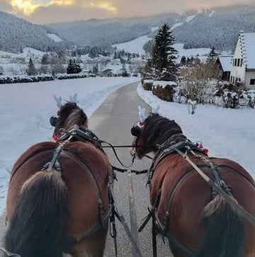 Balade en calèche🐴 et raclette ensuite🧀