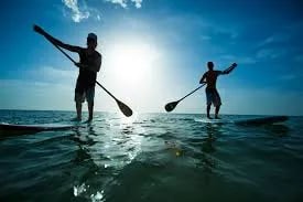 Les Paddleurs Thalassophiles