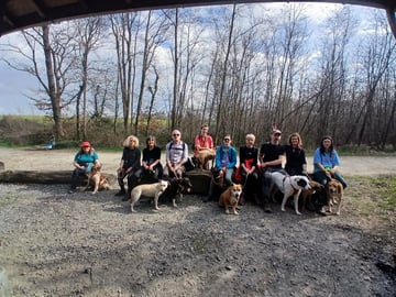 Randonnée canine avec les chiens du refuge 
