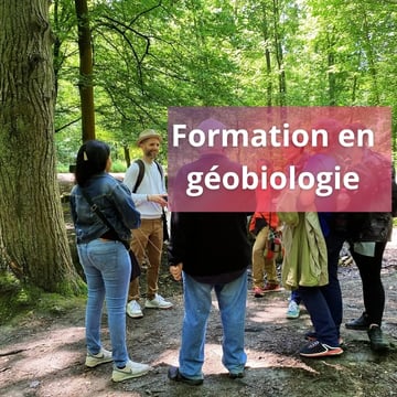 Formation complète en géobiologie