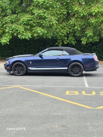 Amoureux de la mustang 