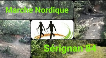 Marche nordique 