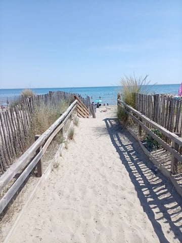 Journée plage apéro avec soirée nocturne 