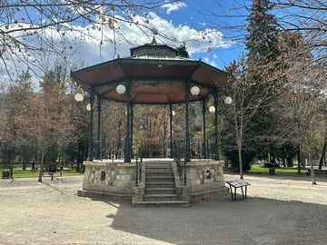 Une marche au parc 