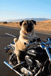 Ballade moto 03