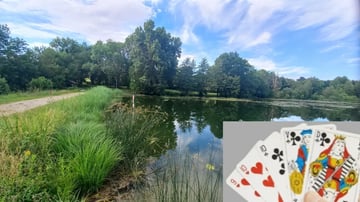 Sortie gratuite coinche ♦️♣️♥️♠️ (secteur Bj/Morestel/La Tour du Pin) 