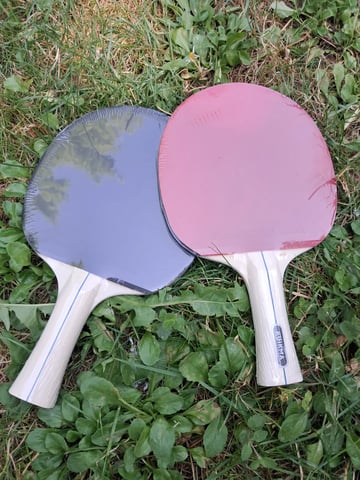 Tennis de table 