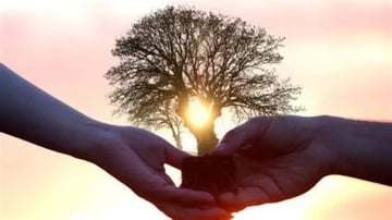 Atelier psychogénéalogie et repas Namaste !🙏