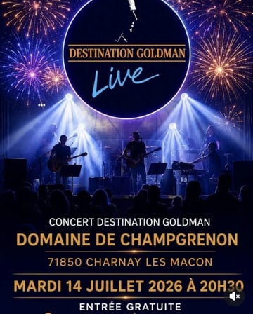 Feu d artifice, destination Goldman entre autre