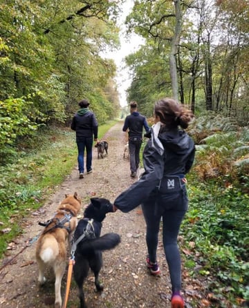 Sorties Canine 83 