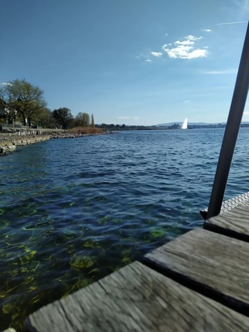 Baignade Lac Genève 