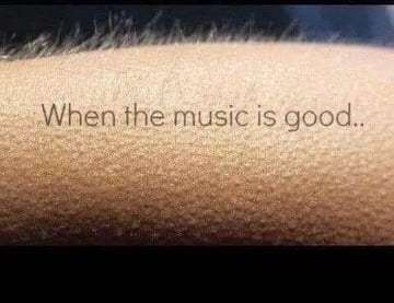 Concerts , festivals ( rock , reggae , musique du monde .. etc )