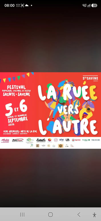 Vide grenier de sainte savine