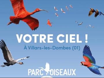 Parc des oiseaux à Villars les Dombes 