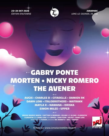 Festival electro