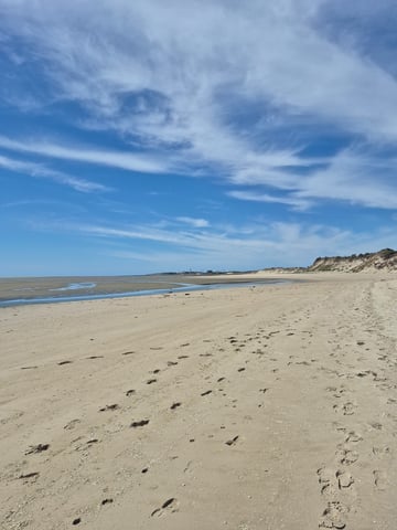 Sorties baie authie, baie de somme 
