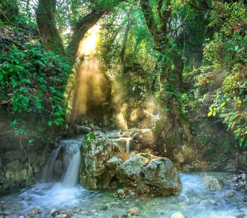Randonnée Cascade de la Louade + pique nique