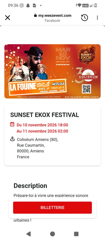 Sunset festival