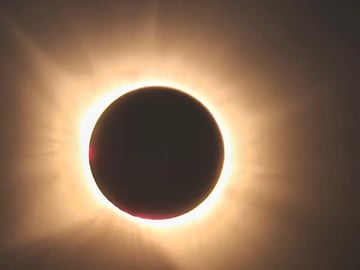 Fête de la science- soirée observation astronomique gratuite 