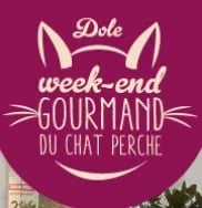 Dégustation chat gourmand 