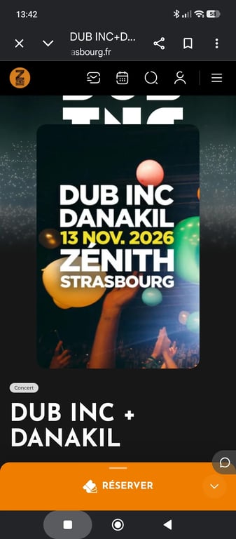 Concert reggae (DUB Inc et DANAKIL