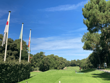 Les joyeux golfeurs