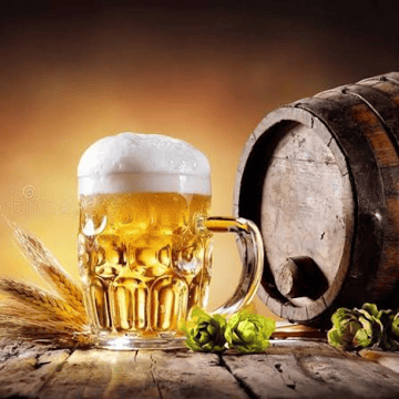 🍻❄️ À la découverte d’une brasserie artisanale pas comme les autres ! ❄️🍻
