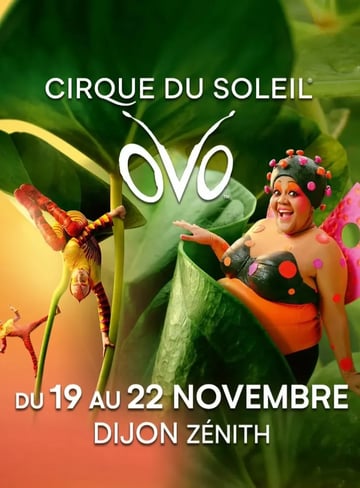 🎪 Sortie au Cirque du Soleil – OVO 🎪