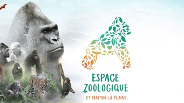 🦍🐻Journée découverte à l'Espace Zoologique de Saint-Martin-la-Plaine ! 🐒🦁
