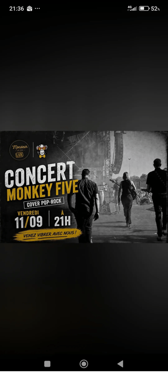 Concert Monkey Five au zinc