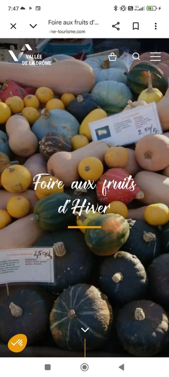 Foire aux fruits d hiver 🎃 Saou⛪