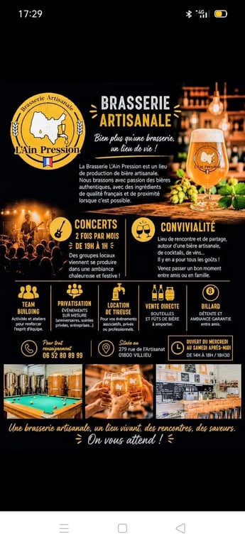 SHEFFIELD rock'n'roll en concert 