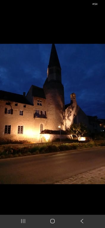 Journée du patrimoine Crémieu 