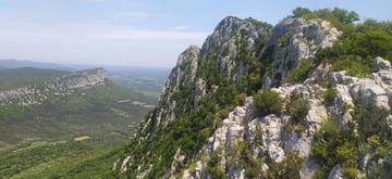 Pic Saint Loup 