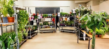 Plantes Addict ☘️ revient sur Grenoble | Plantes et végétaux à partir de 1€