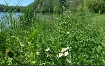 Promenade de début de semaine 