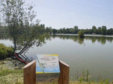 Balade tranquille lac de saint Marcel 