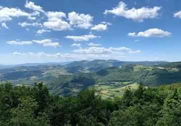 🌲🥾 Rando Rontalon / Saint-Martin-en-Haut – Le Crêt de la Poipe (835 m)