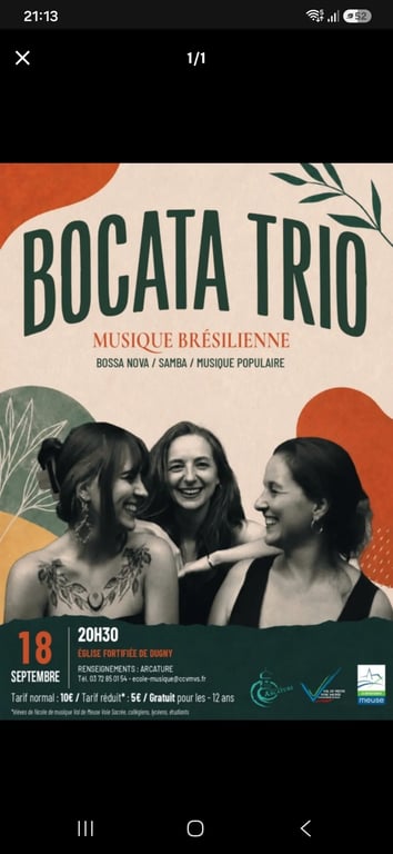 Musique  Brésilienne 