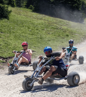 Mountain kart 
