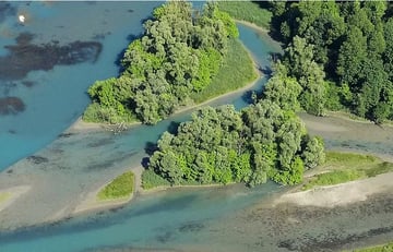 l'Amazonie rhodanienne en canoë/kayak
