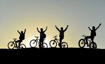 Balade à vélo + picnic + boire un verre