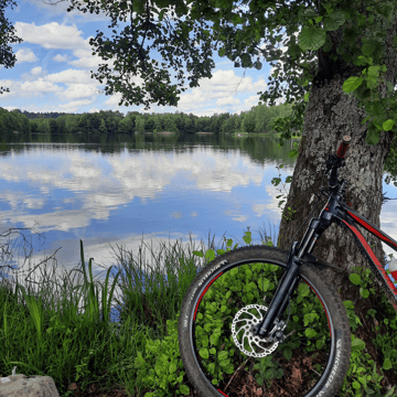 VTT aux mille étangs 