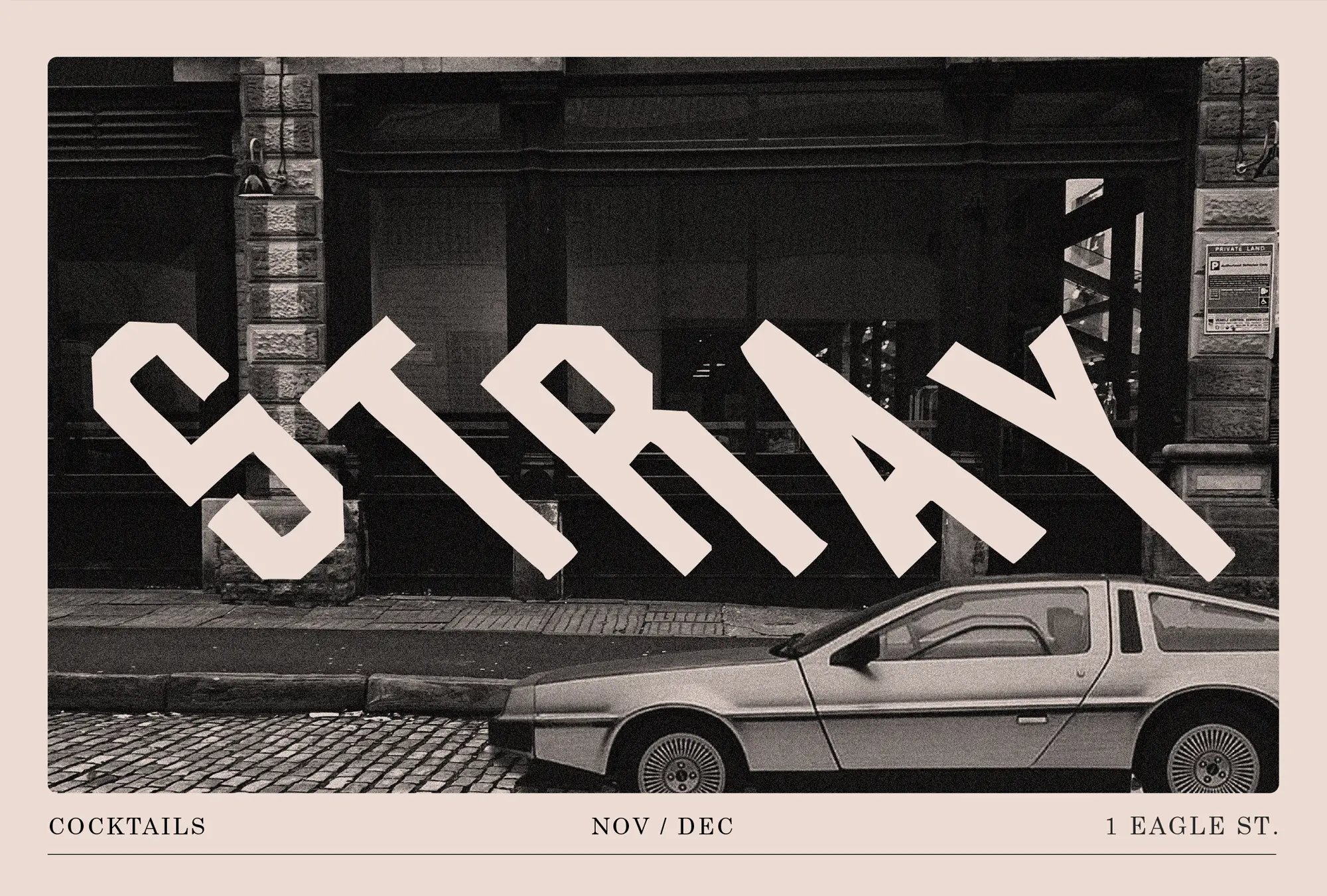 Stray opens in Mackie Mayor