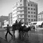 A cart pulled by two donkeys on a wet street.