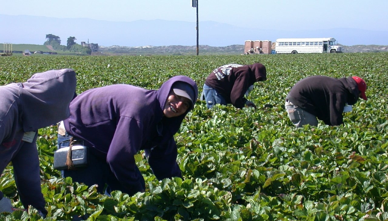 Judge says Border Patrol defied orders when arresting day laborers without proper warrants