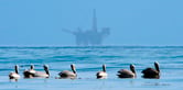 Offshore oil rig drilling while birds watch.