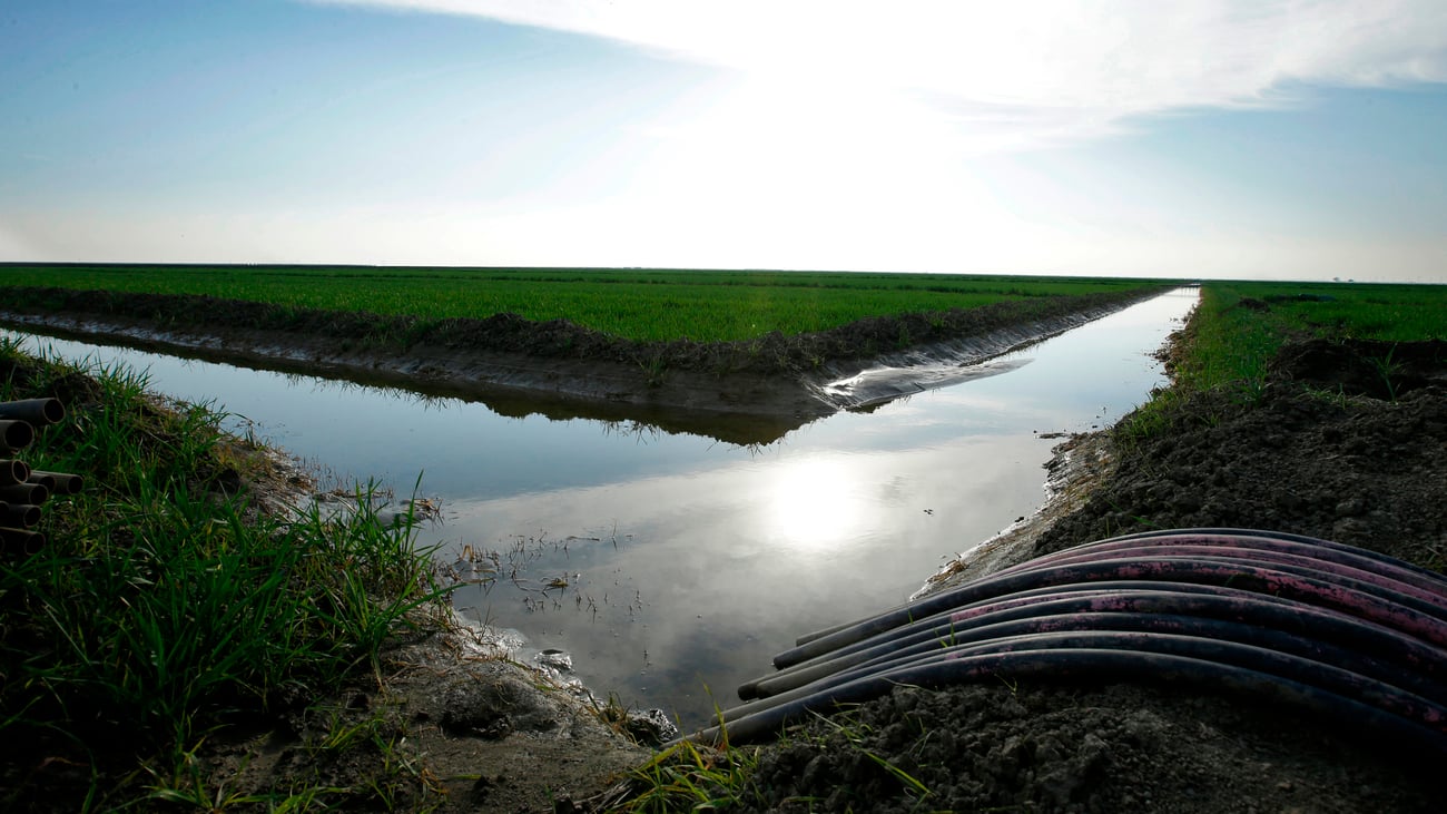Lawmaker seeks to ban PFAS pesticides in California